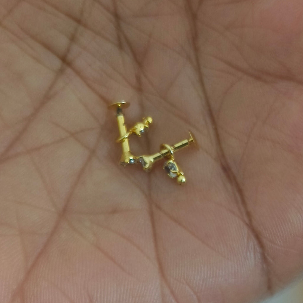 White stoned with drop side earrings/nose pin E-31051